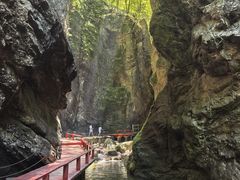 -牛背梁国家森林公园