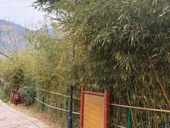 -竹子庵公园