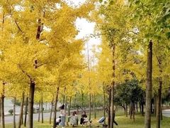-洨河生态公园
