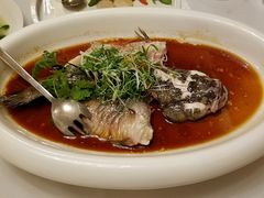 清蒸笋壳鱼-酌宴府The China Club·广州万富希尔顿酒店(云城东路店)
