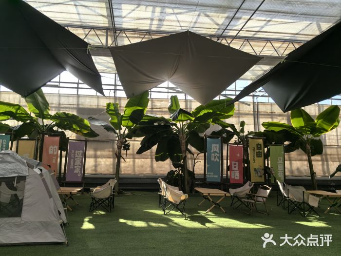 南和农业嘉年华图片