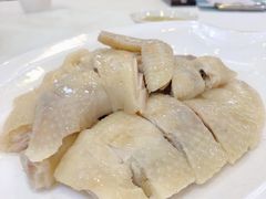 -清心鸡沙田乳鸽店·非遗传承(石溪店)