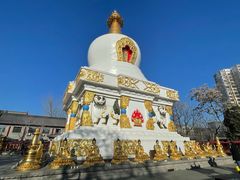 -护国法轮寺
