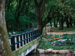 -上海共青森林公园