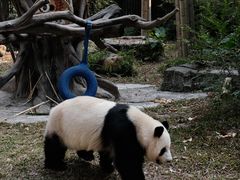 -广州动物园