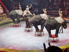 -俄罗斯国家大马戏团