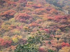 -香山公园