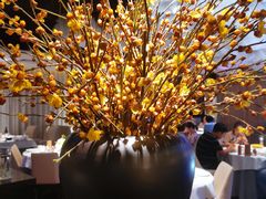 -悦融·京鲁菜·露台花园(安定门店)