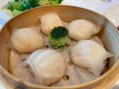 -金苑海鲜酒家(来魅力店)