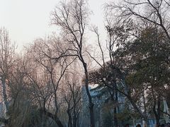 -莲湖公园