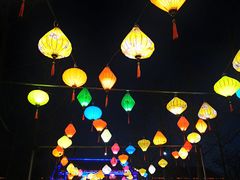 -南宫五洲植物乐园