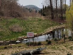 -棒棰岛宾馆景区