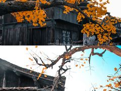 -中国汉城景区