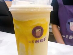 -一只酸奶牛(八一路店)