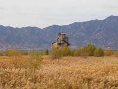 -野鸭湖国家湿地公园