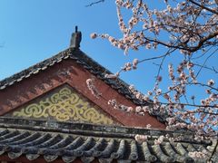 -桃花堤公园