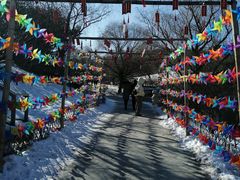 -北京西山国家森林公园