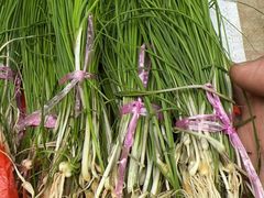 -雅和生态渔庄·宜城锅巴饭(龙灵山公园店)