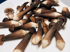 -千岛蚝高压锅生蚝·人参火锅(白云万达店)