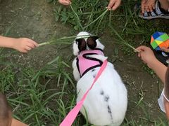 -永定河休闲森林公园