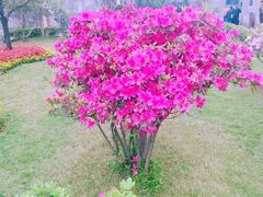 -陈家祠堂-游客中心