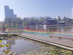 -雁滩公园