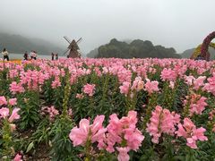 -广州市石门国家森林公园