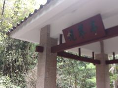 -火炉山森林公园