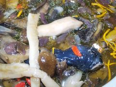 -杨记山珍鸡煲菌汤锅