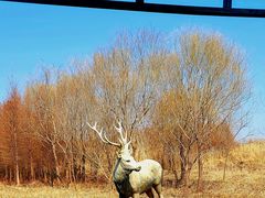 -溱湖国家湿地公园