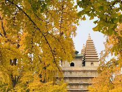-北京石刻艺术博物馆(五塔寺)