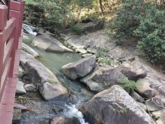 -广州白江湖森林公园