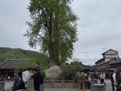 -崇州市街子古镇