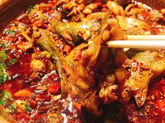 经典美蛙鱼混合锅-呱呱叫民俗风味主题餐厅(沣峪口店)