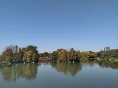 -海珠湖公园