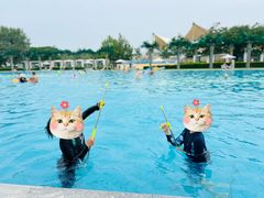 -秦皇岛乐岛海洋王国