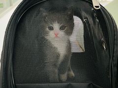 -北京恒爱动物医院(清景园分院)