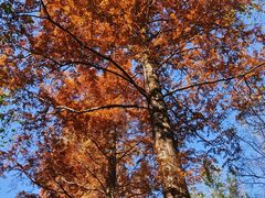 -敬亭山风景名胜区