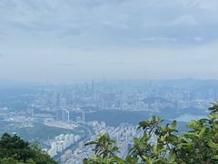 -梧桐山风景名胜区