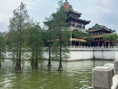-顺峰山公园