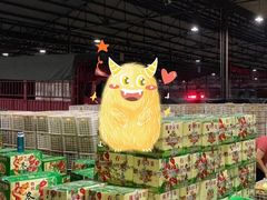 -菜园坝水果市场