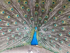 -静之湖湖畔餐厅