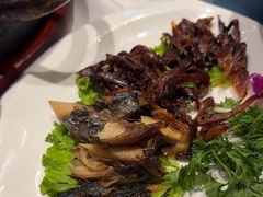 -海派美食·家宴海鲜青岛菜·石锅鲽鱼头(东方城店)