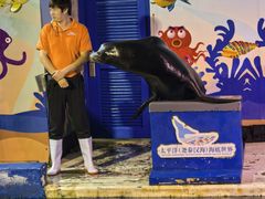 -太平洋海底世界