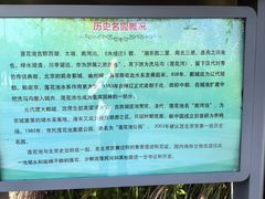 -莲花池公园