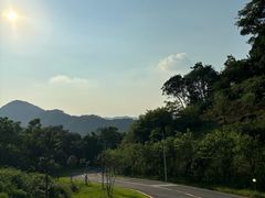 -黄埔油麻山森林公园