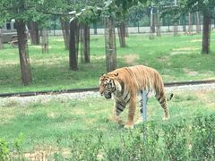 -秦皇岛野生动物园