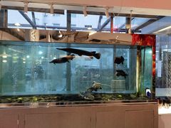 -衡山汇·高级粤菜(霄云路店)