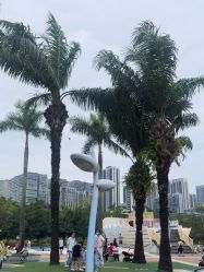-深圳市儿童乐园