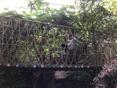 -呀路古热带植物园